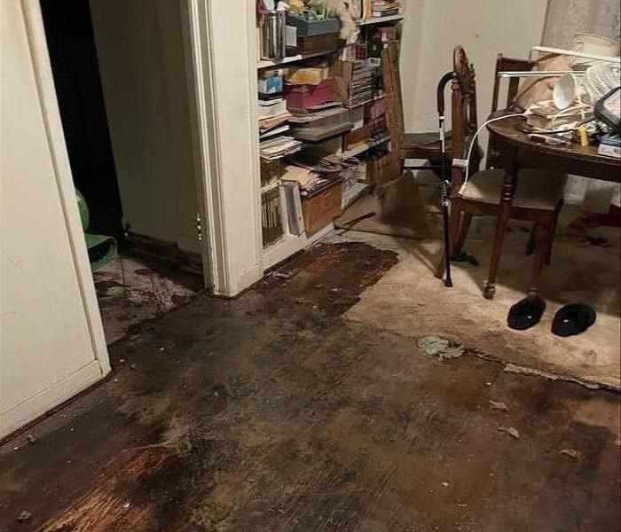 Sewage Water Damage