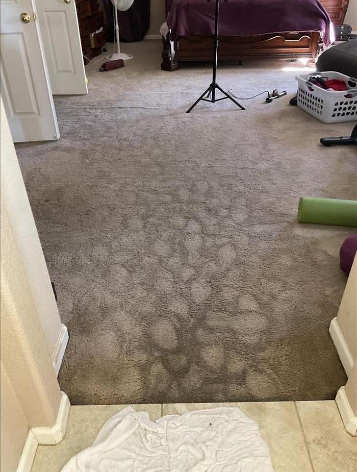 Water Damaged Carpet